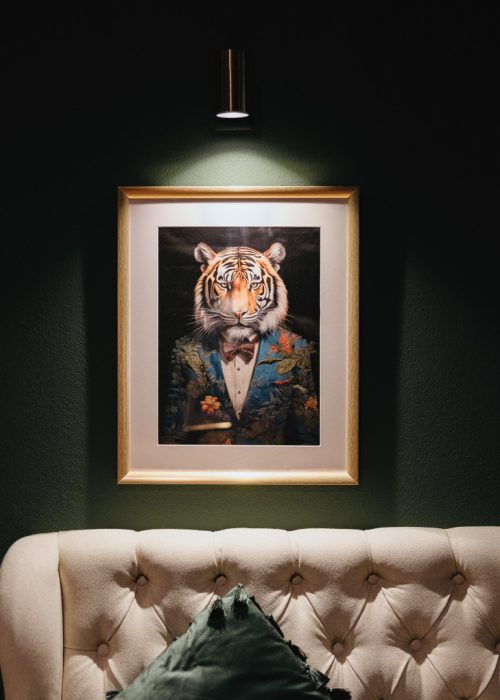 srtigre_SrTigre
